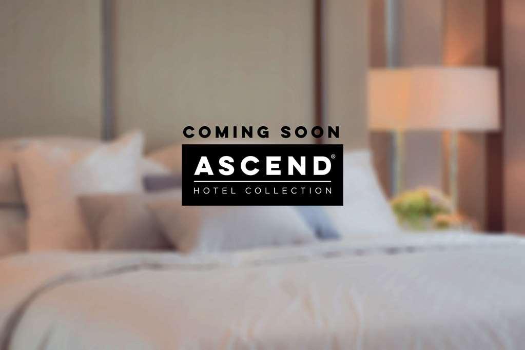 Mayfair Hotel, Ascend Hotel Collection ニューヨーク エクステリア 写真
